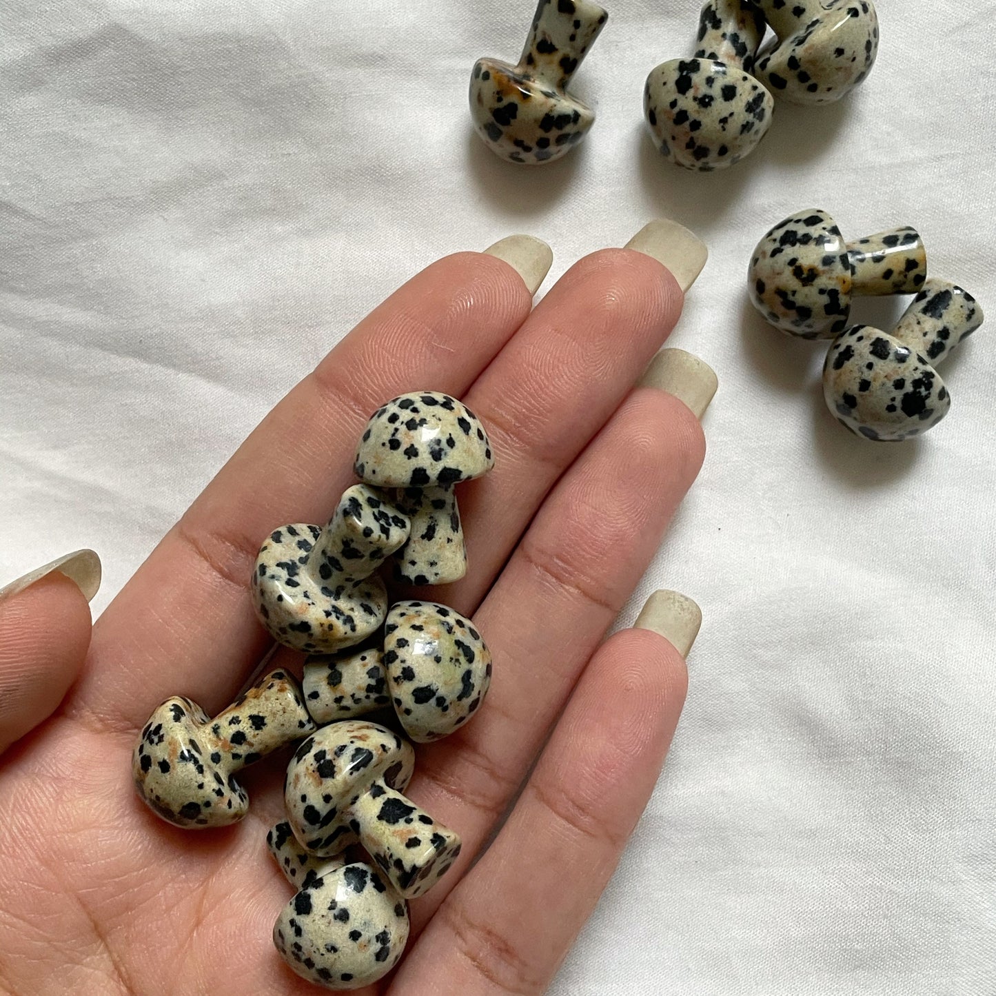 Dalmatian Jasper Mini Mushroom | دلمشين جاسبر