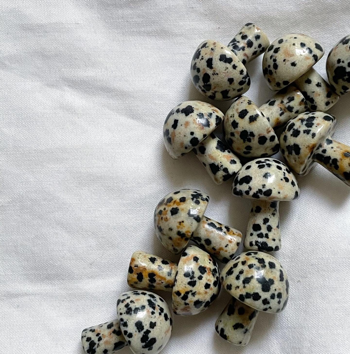 Dalmatian Jasper Mini Mushroom | دلمشين جاسبر