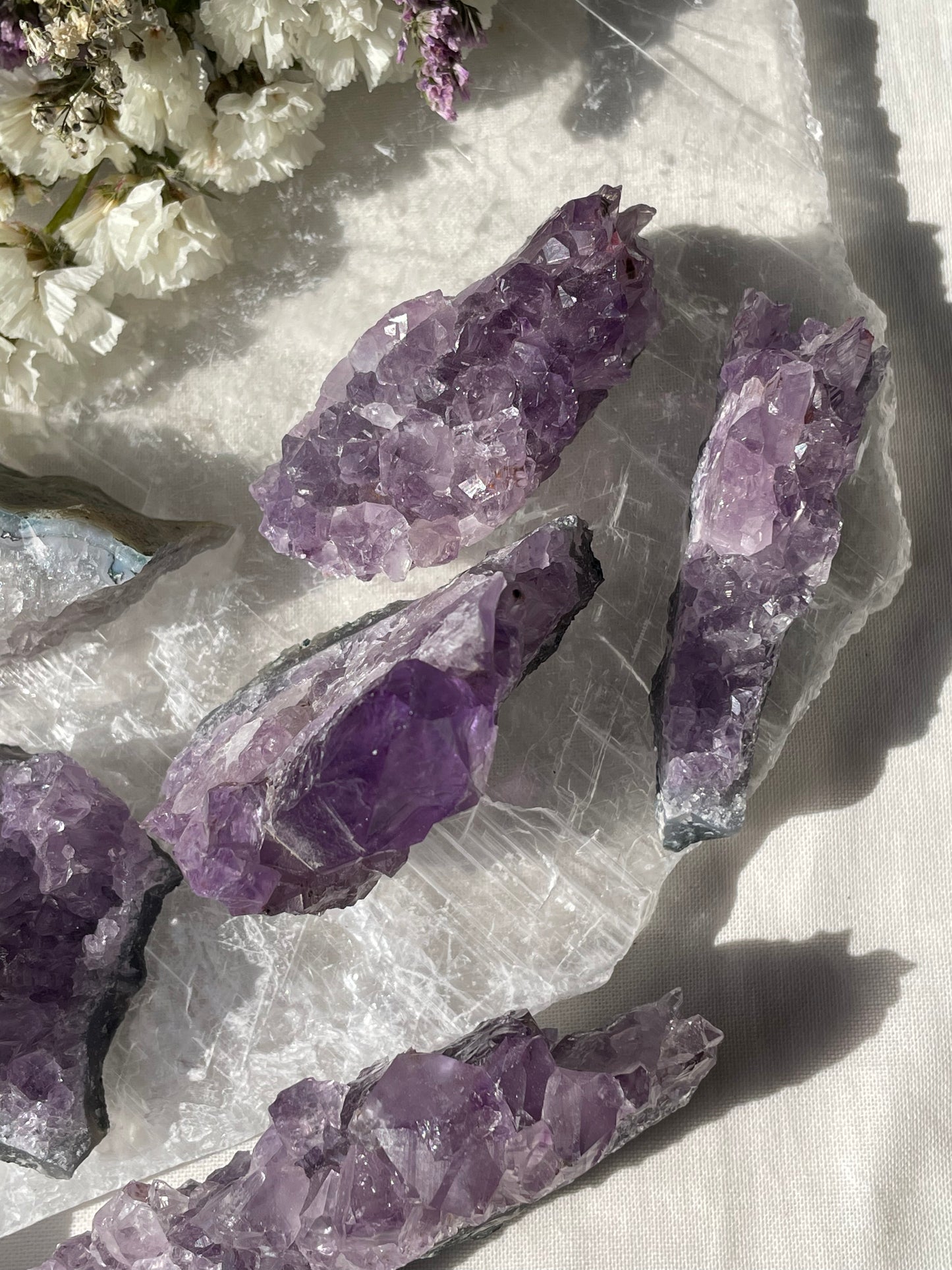 Amethyst Cluster | الجمشت الخام