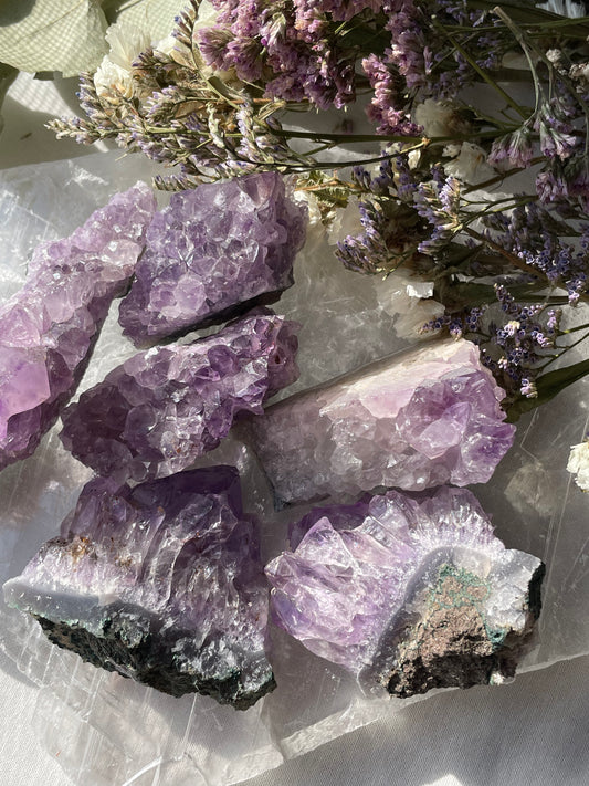 Amethyst Cluster | الجمشت الخام